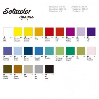 SETACOLOR OPACO 250 ML
