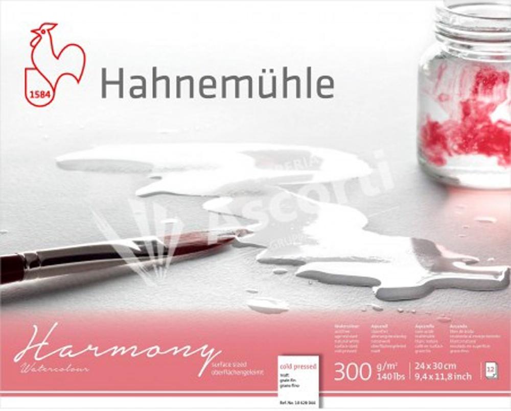 HAHNEMÜHLE BLOC ACUARELA HARMONY GRANO FINO 300G 12 HOJAS
