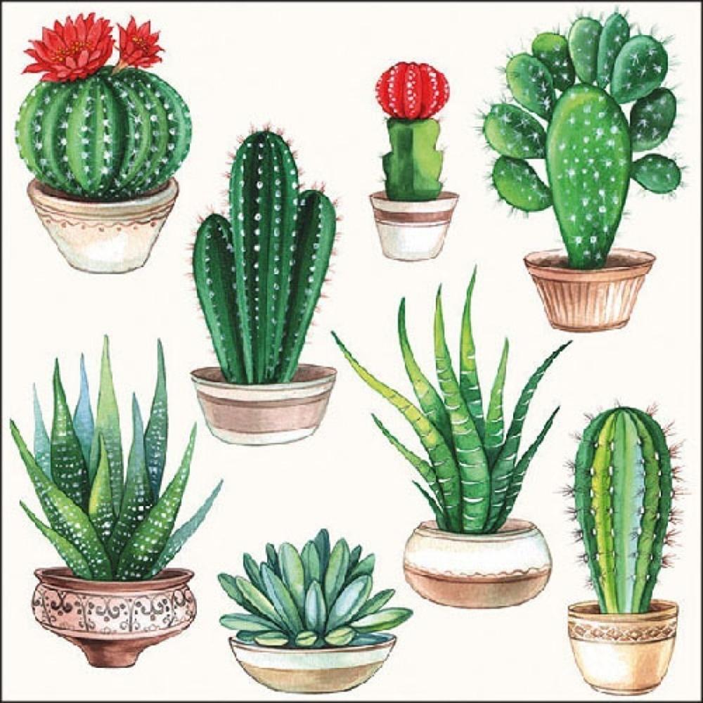 SERVILLETA DECORATIVA MACETAS CACTUS 1 UNIDAD REF.3004