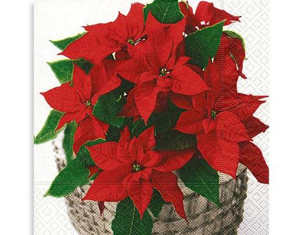 SERVILLETA DECORATIVA FLORES PASCUA 1 UNIDAD REF.3013