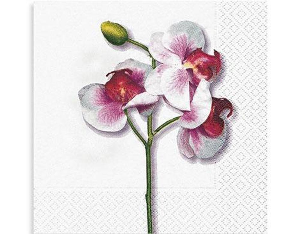 SERVILLETA DECORATIVA ORQUÍDEA BLANCA 1 UNIDAD REF.3014