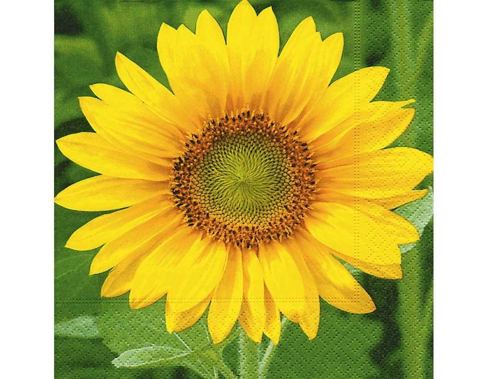 SERVILLETA DECORATIVA GIRASOL 1 UNIDAD REF.3021